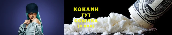 спиды Беломорск