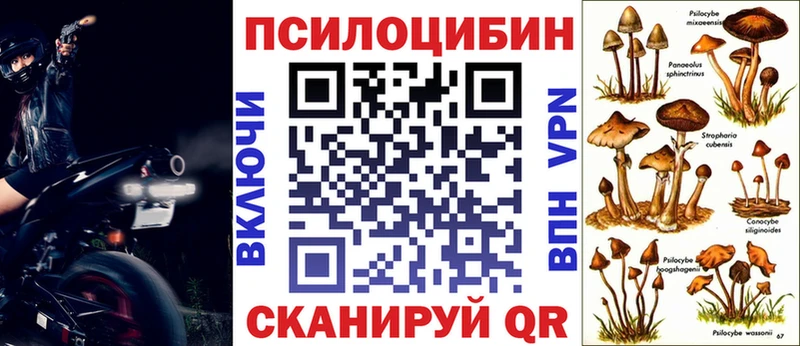 Галлюциногенные грибы Psilocybe  как найти   MEGA как зайти  Курильск 